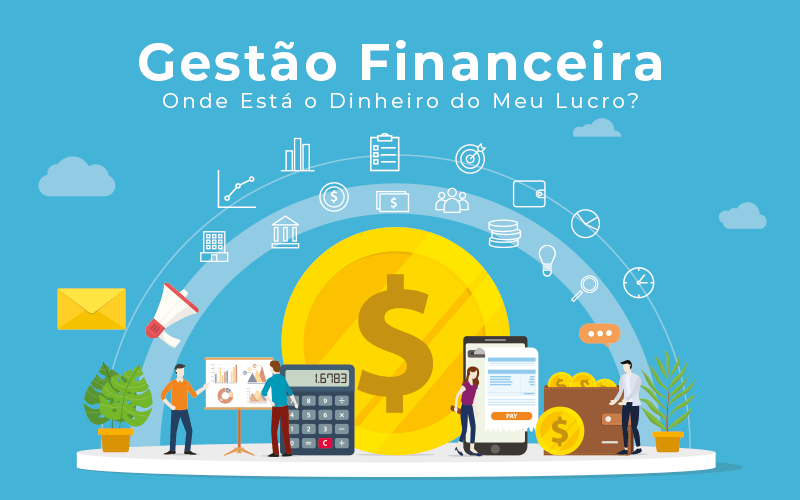 Gestao Financeira Onde Esta O Dinheiro Do Meu Lucro Blog Liz Assessoria Financeira - Contabilidade Ipiranga | NC Contabilidade